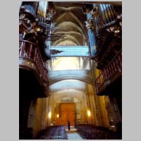 Tui, photo Zarateman, Wikipedia,4.jpg